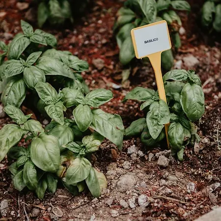 Fontermosa Szálloda 4*